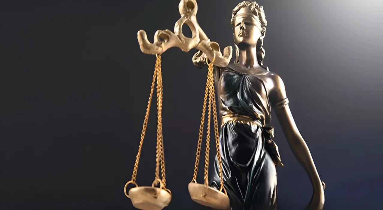 نقش زنان وکیل